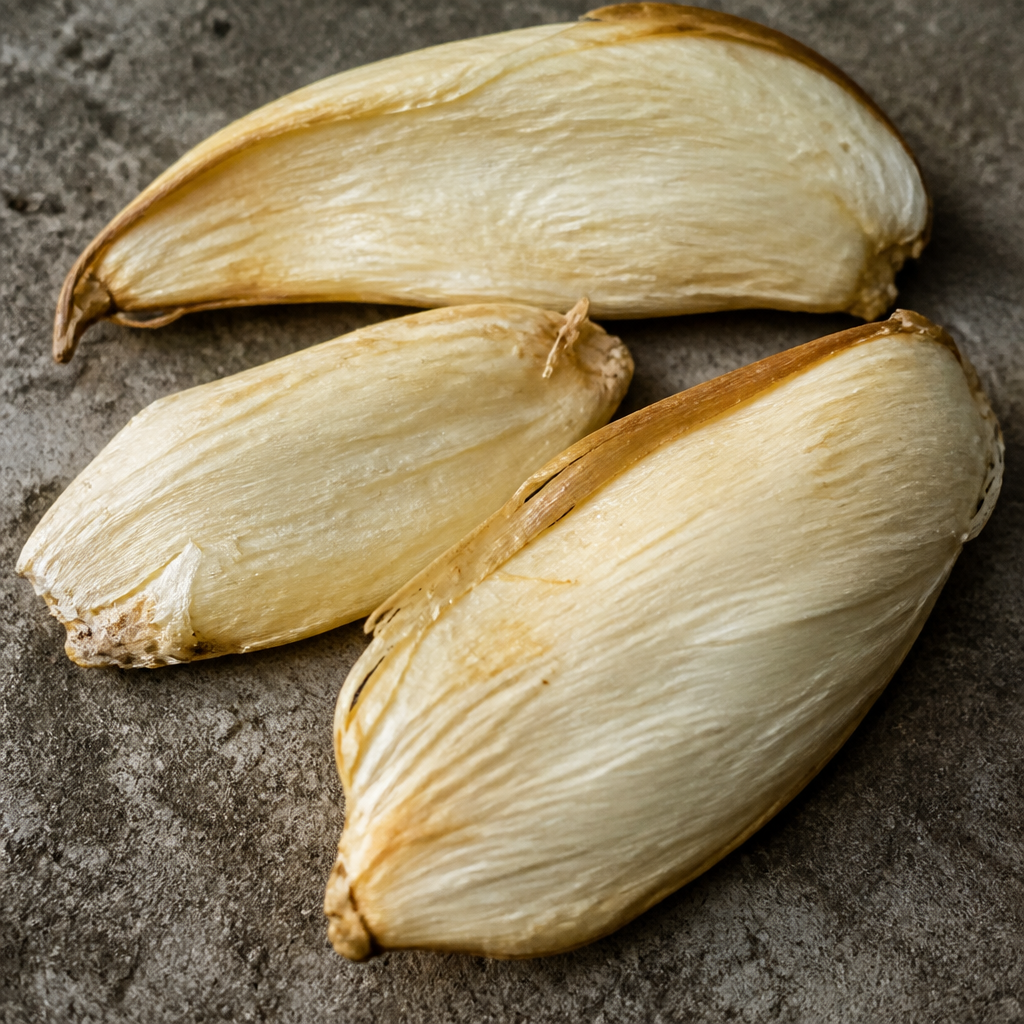 Mango Seed for planting