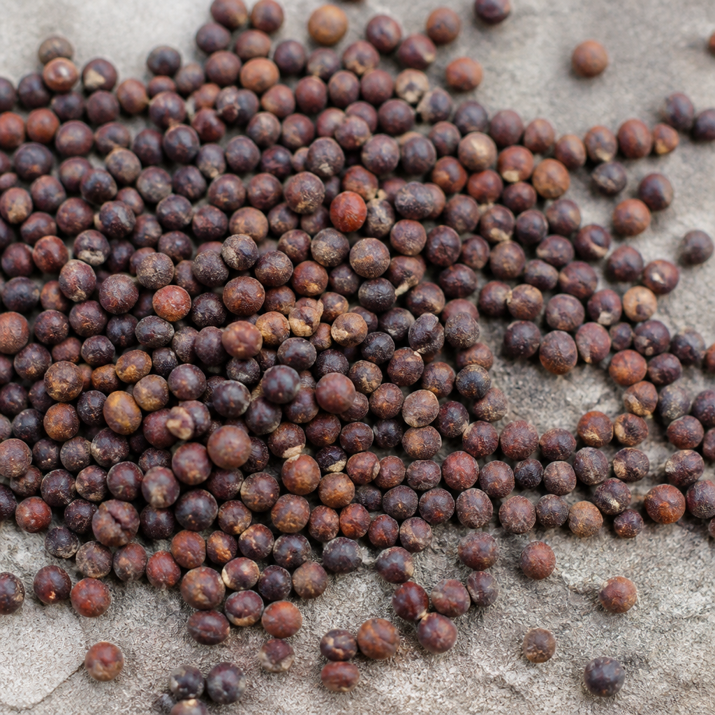 Radish Seed