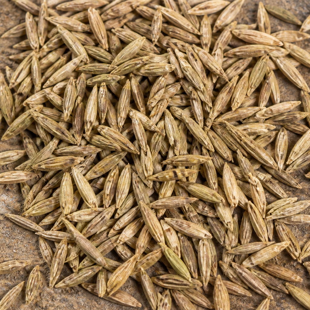 Para Grass Seed