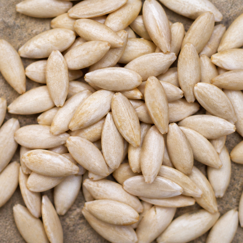 Cucumber Seed