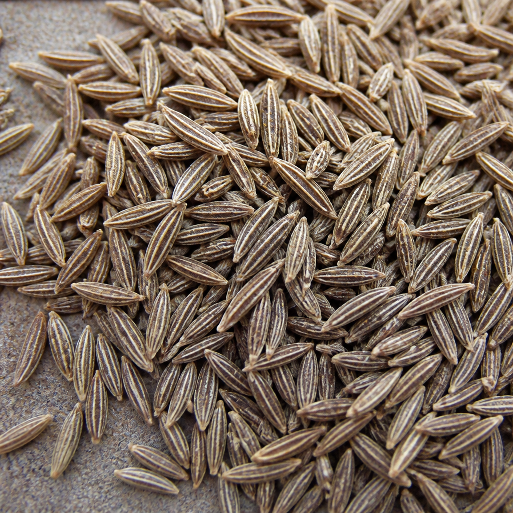 Cumin Seed for planting