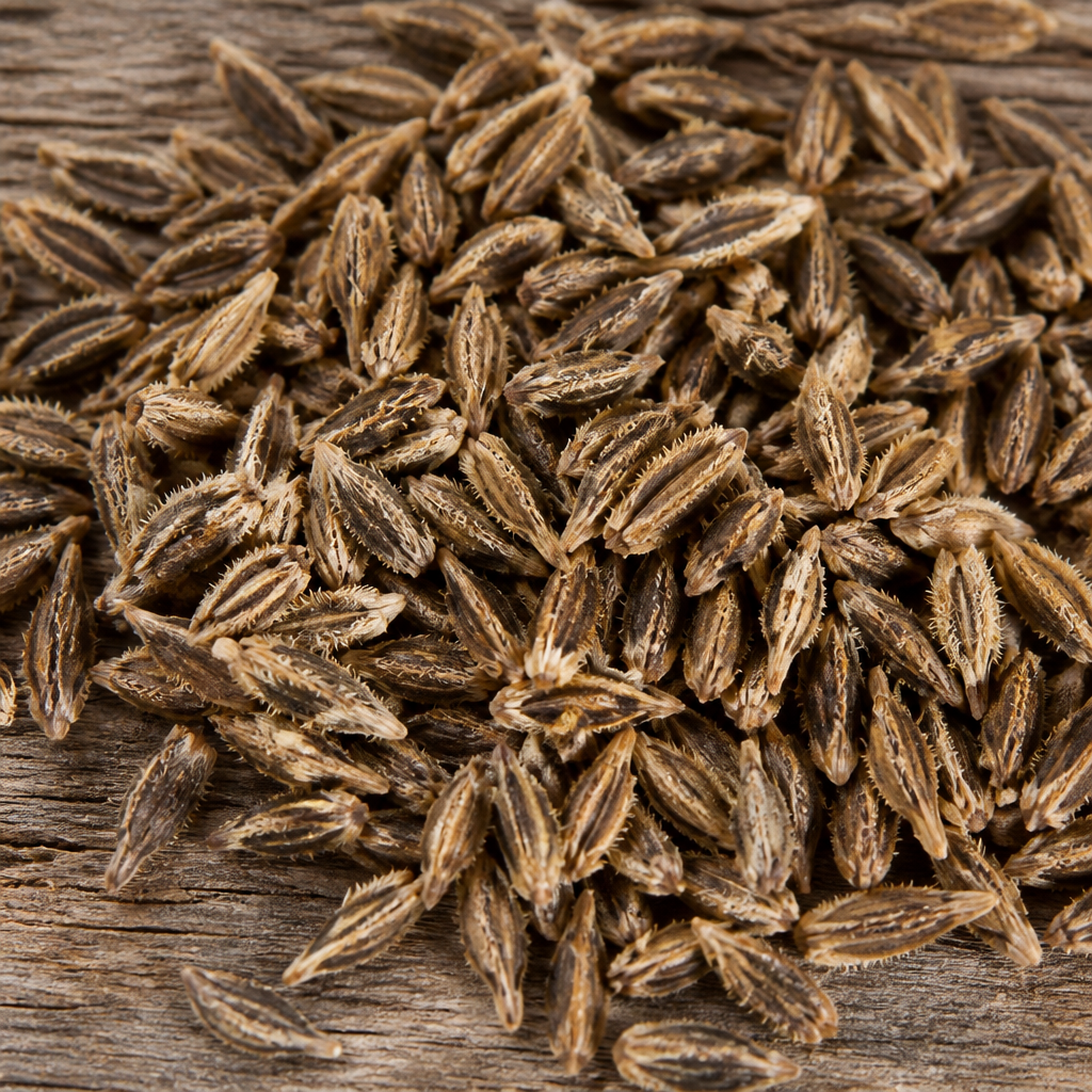 Gaillardia Seed