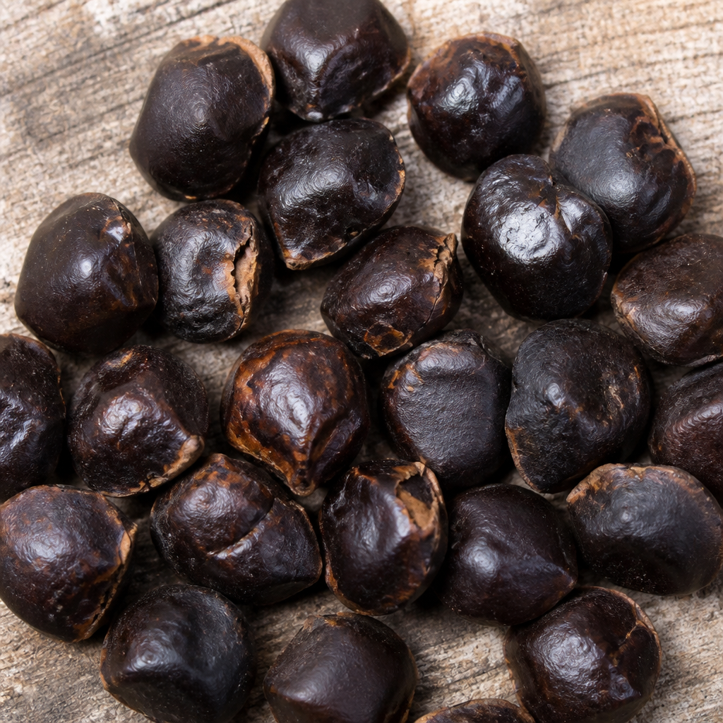 Tamarind Seed for planting