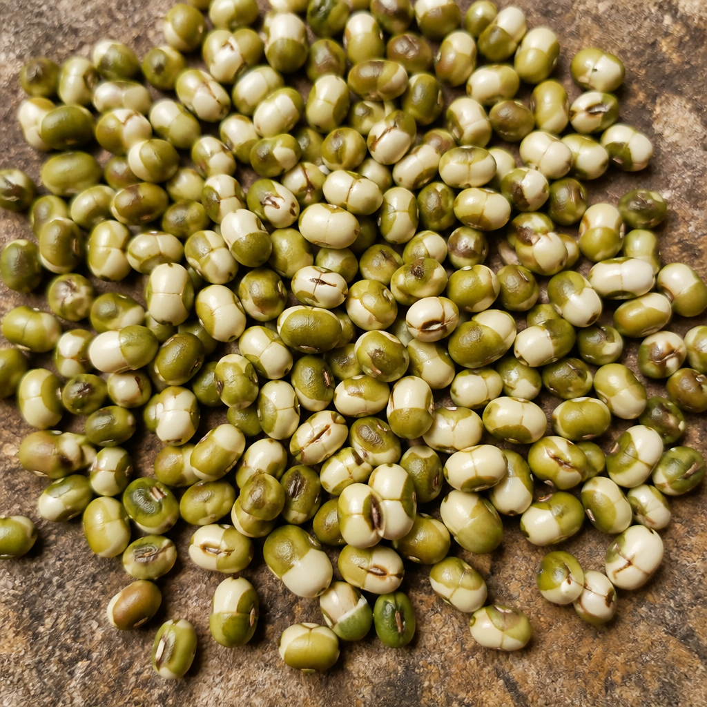 Sprout Seeds for sowing only