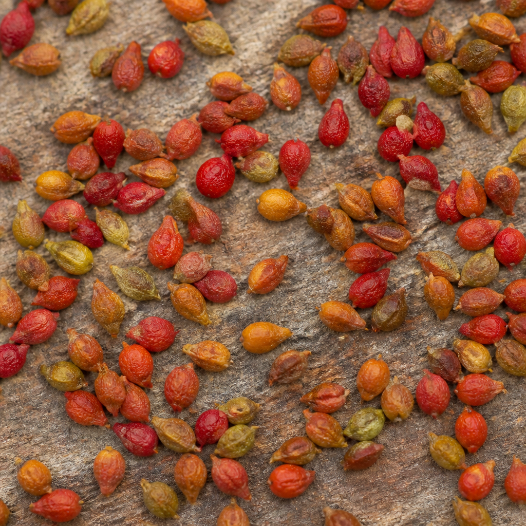 Strawberry Seed