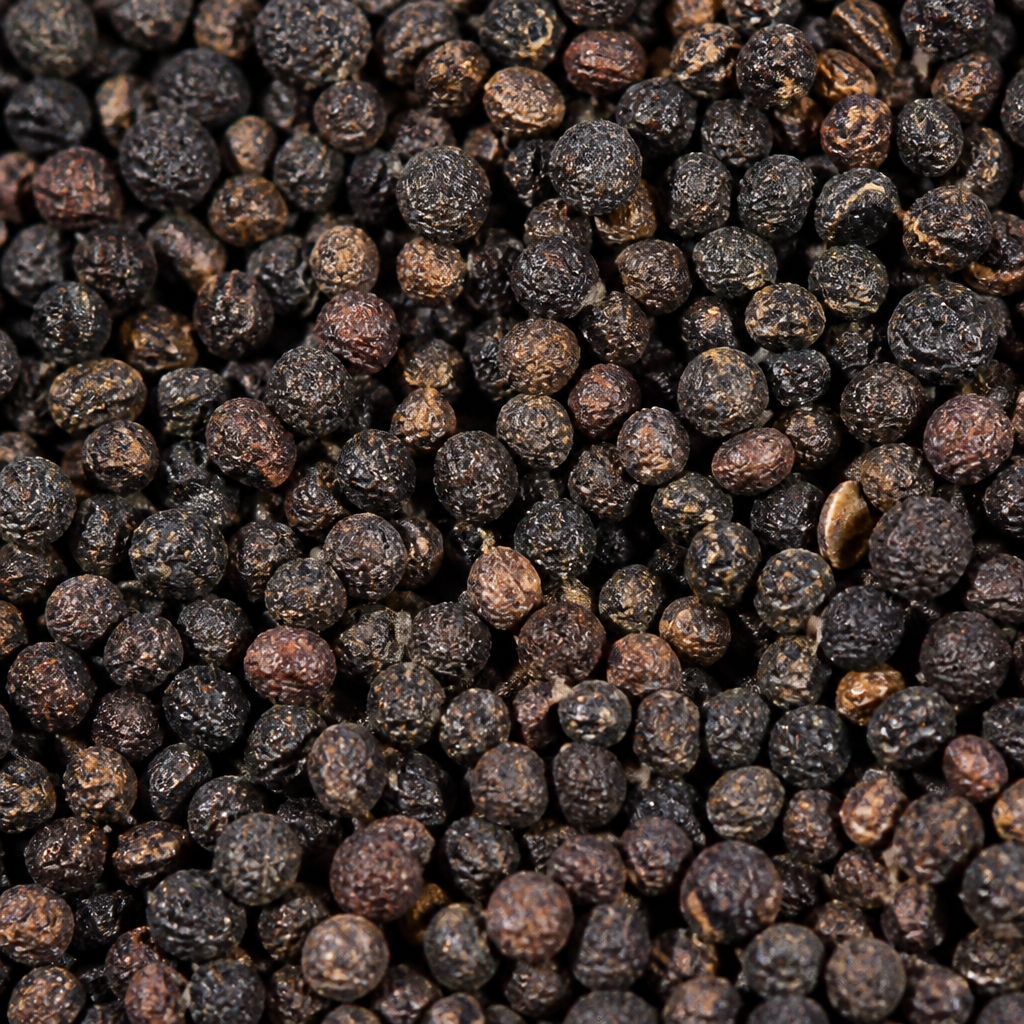 Coleus Seed