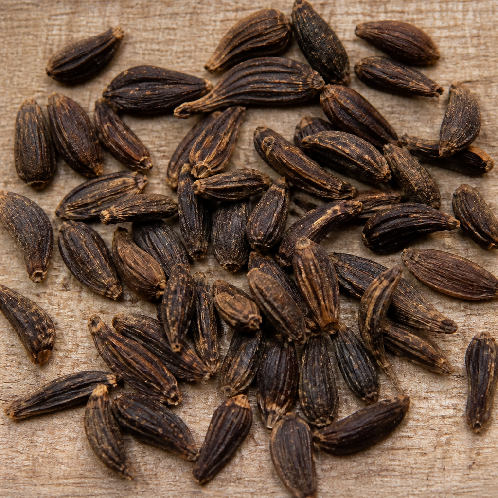 Delphinium Seed